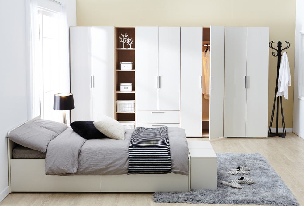 Walk-In Closets vs. Wardrobes: Which Do I Need?